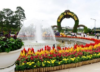 SAIGON - DALAT - MUINE - SAIGON TOUR 7 DAYS 6 NIGHTS (Private tour) SAIGON - DALAT - MUINE - SAIGON TOUR 7 DAYS 6 NIGHTS (Private tour)